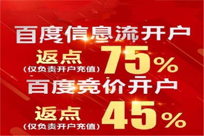 某公司通过百度竞价实现业务快速增长的案例